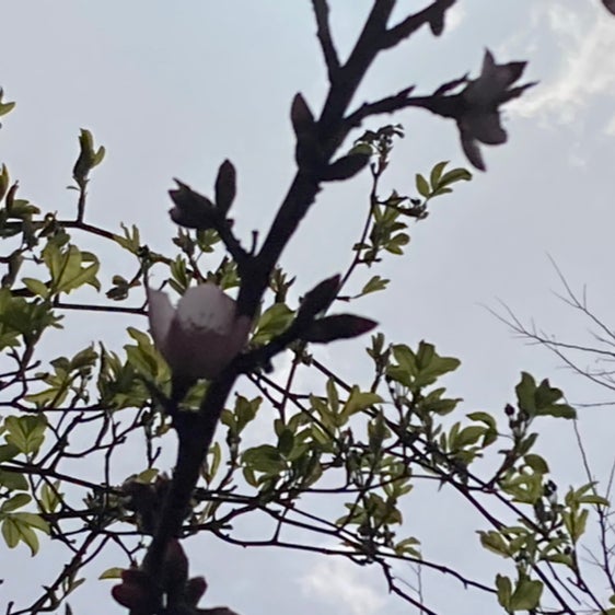 渡邊剛史のトーク