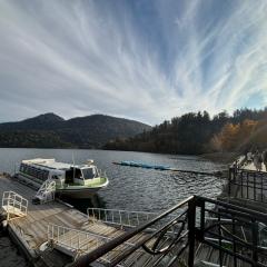 きたきつね@北海道