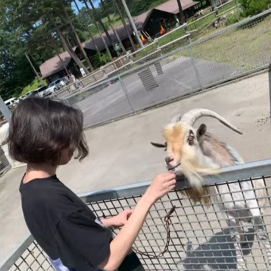 よね