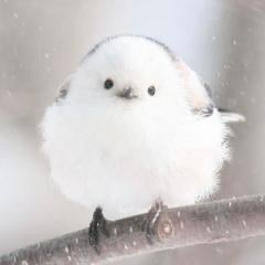 まりりんのひとりごと部屋