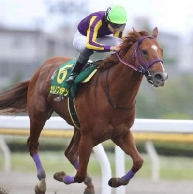 カジノフォンテン