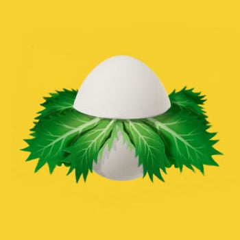 めしっのトーク