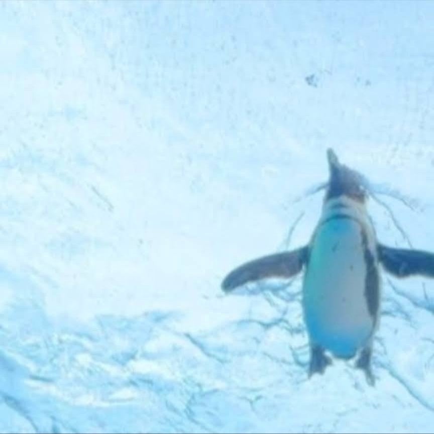 リフのトーク