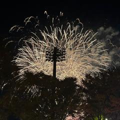 めっちゃさよなら