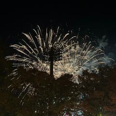 めっちゃさよなら