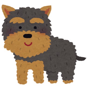 ヨークタベテルヤ