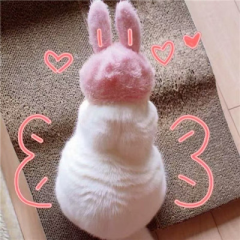 dcscdscのトーク
