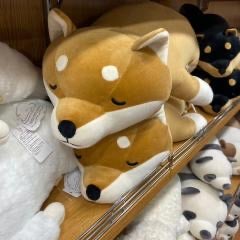 タクちゃんのトーク