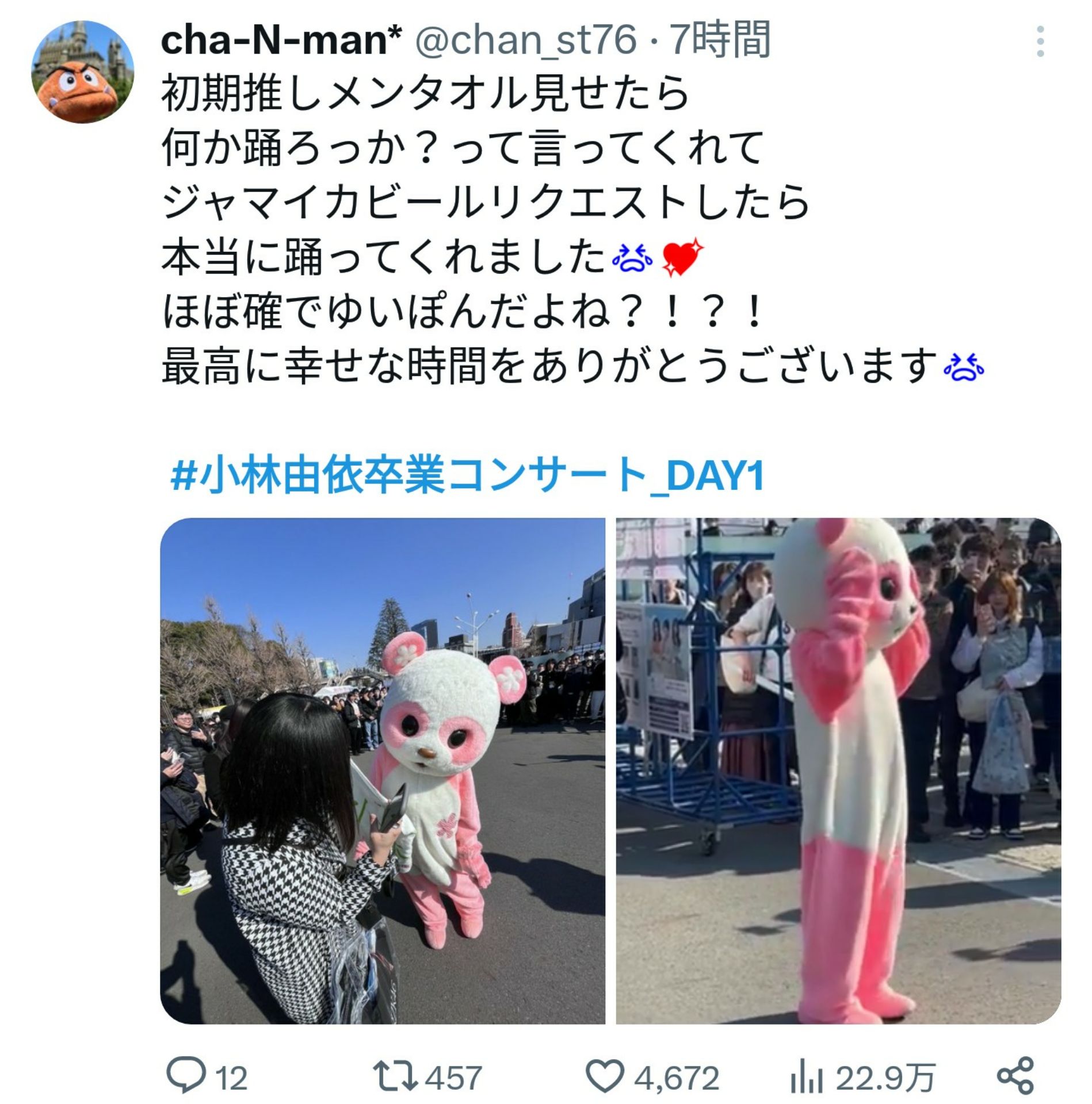 投稿画像