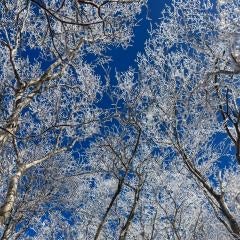 tiaramanJKLのトーク