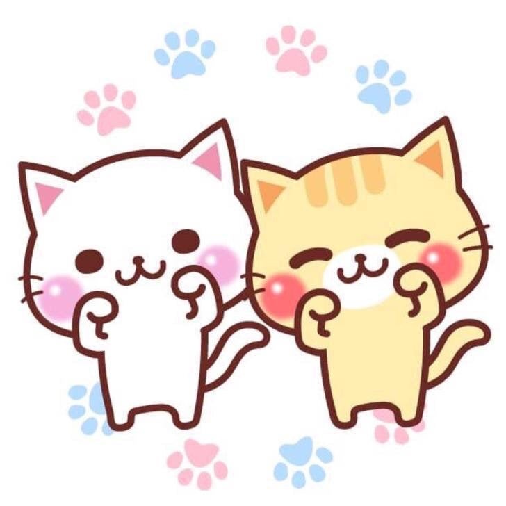 のんとトミ−の2人部屋(´˘`*)