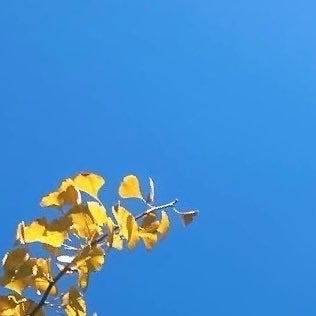 ◎うるせぇ記録