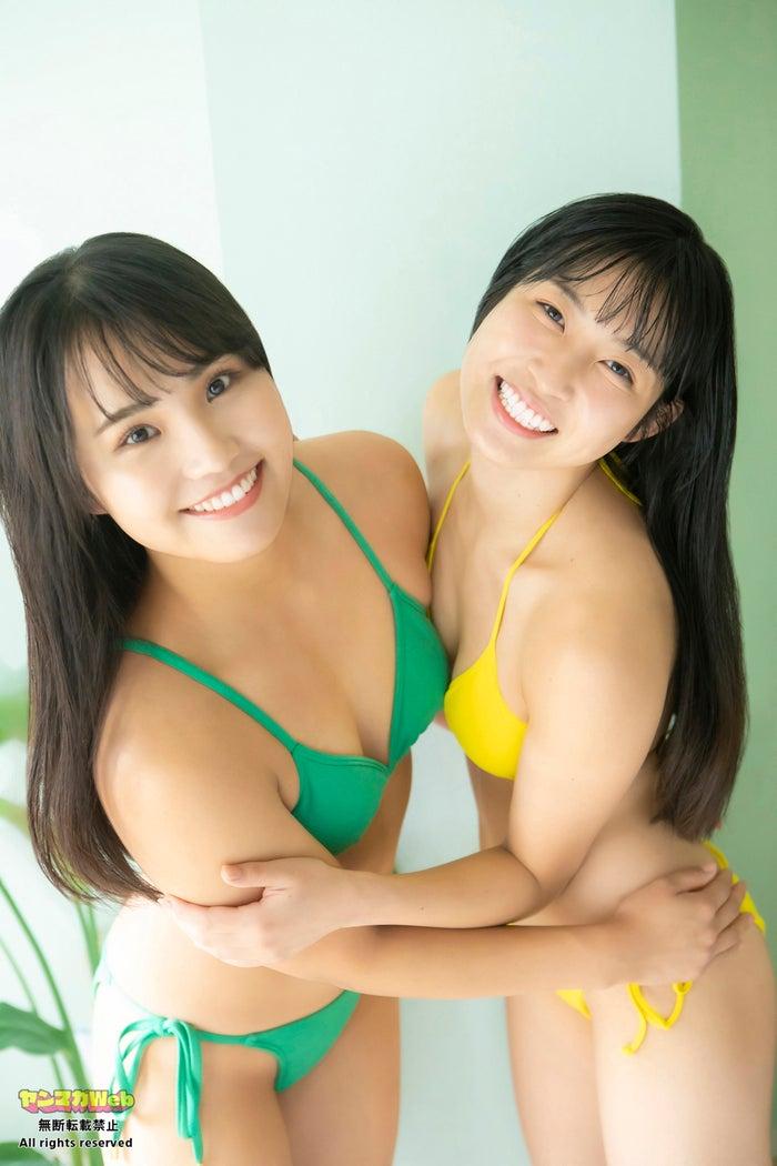 ニュース画像