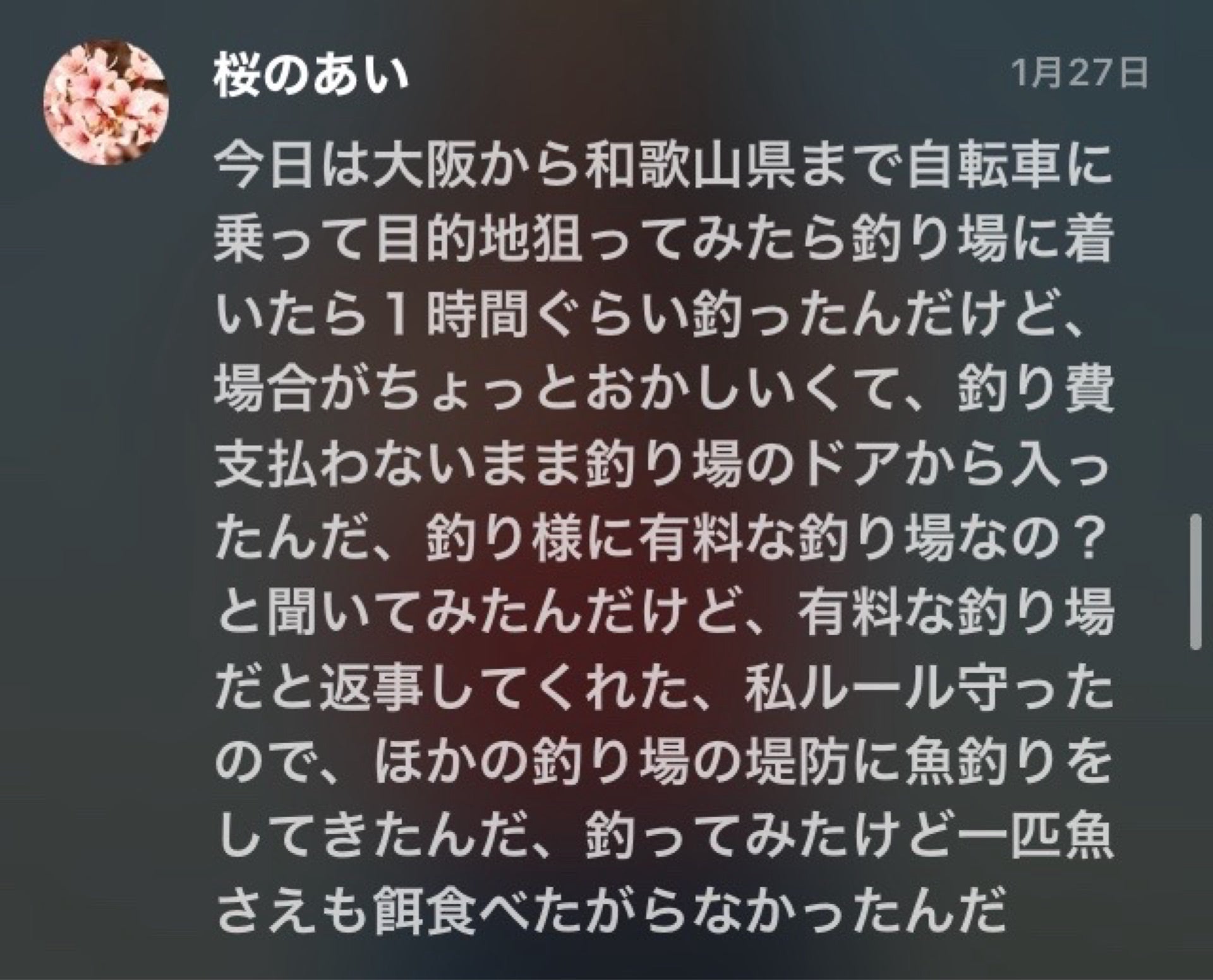 投稿画像