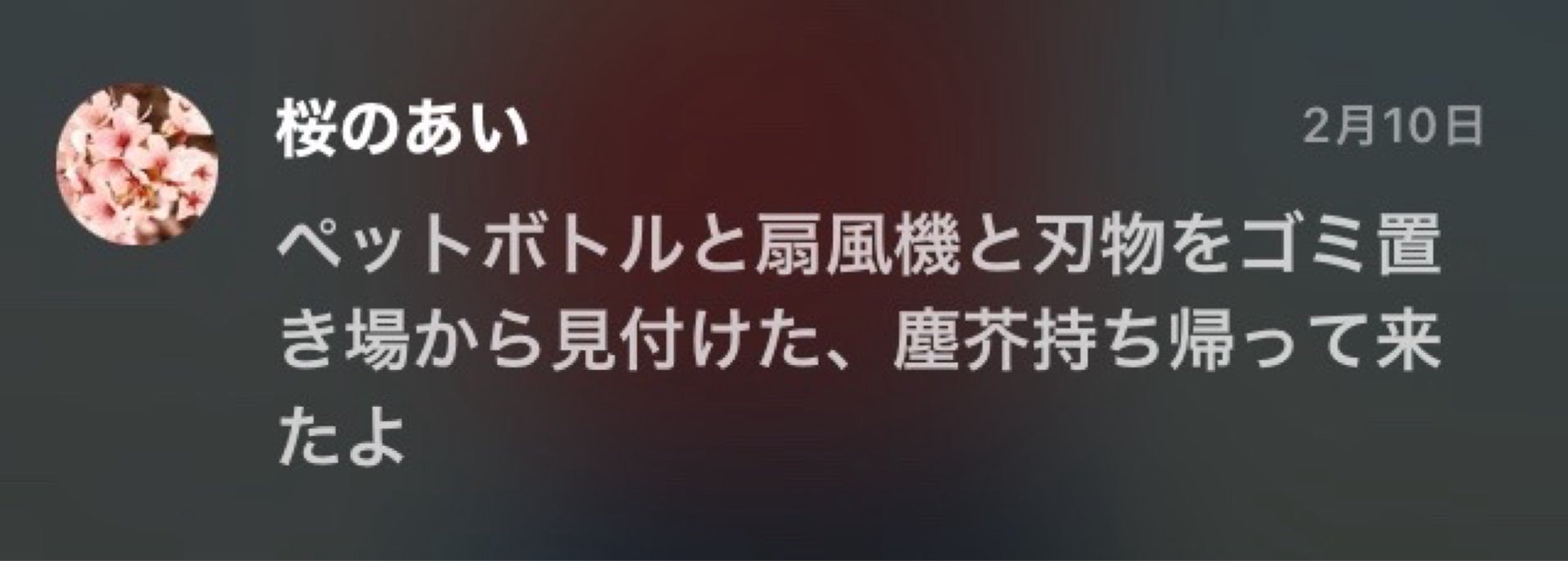投稿画像