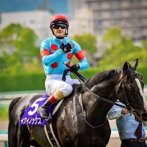 おうまさんれーす