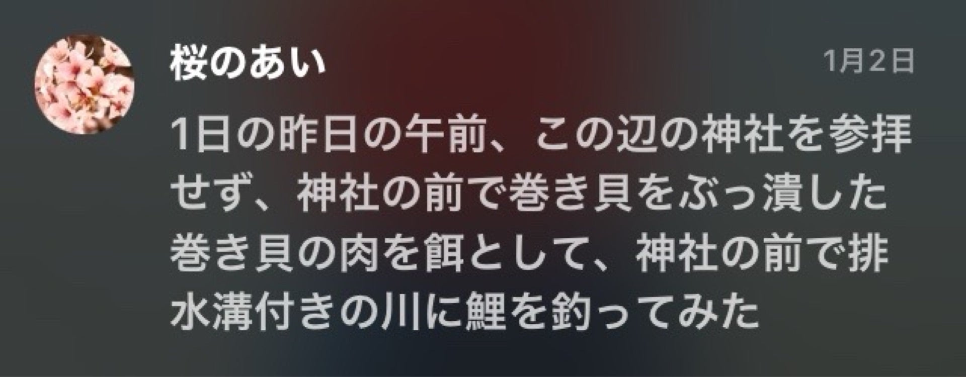 投稿画像