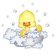 アヒル サイレン