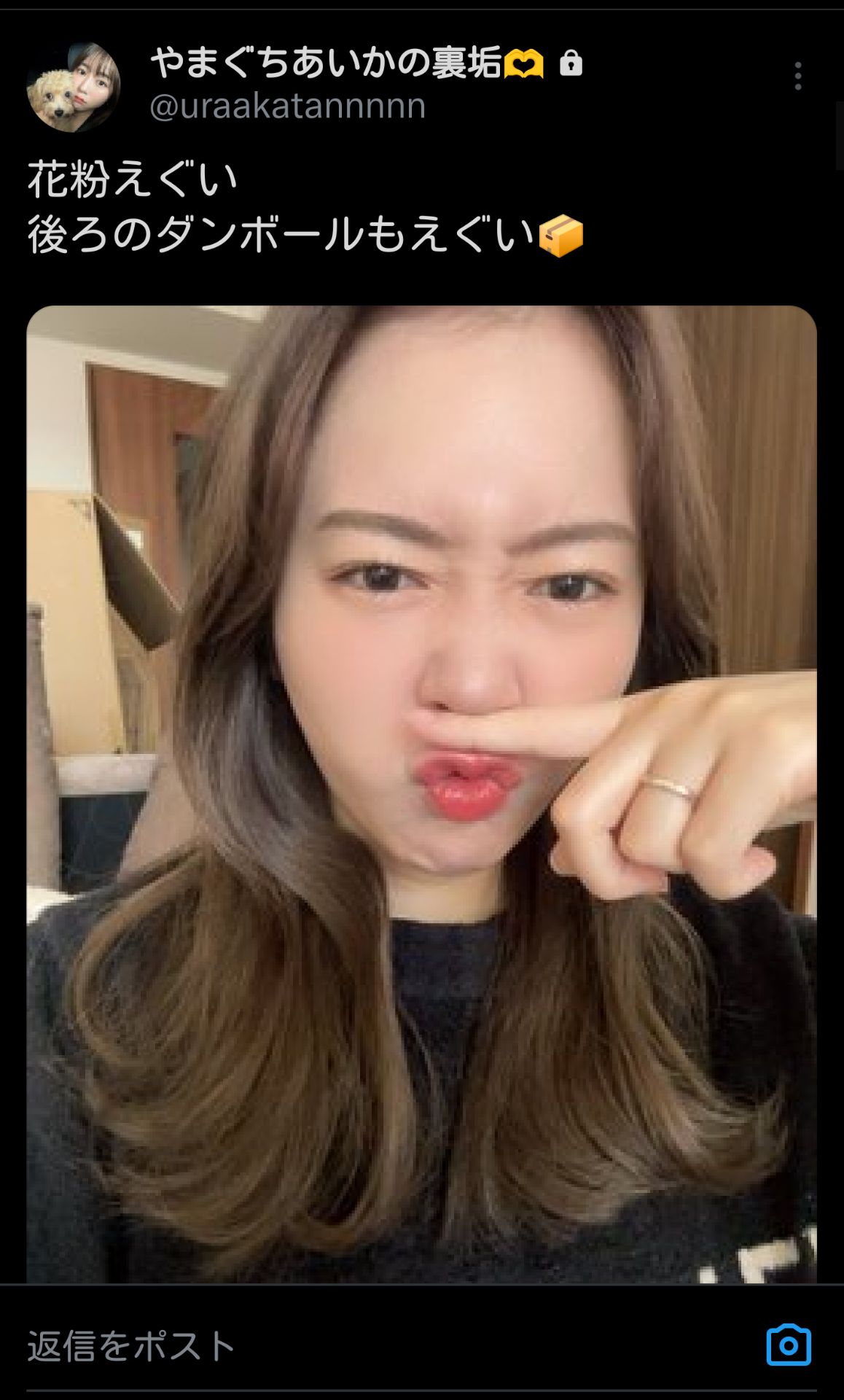 投稿画像