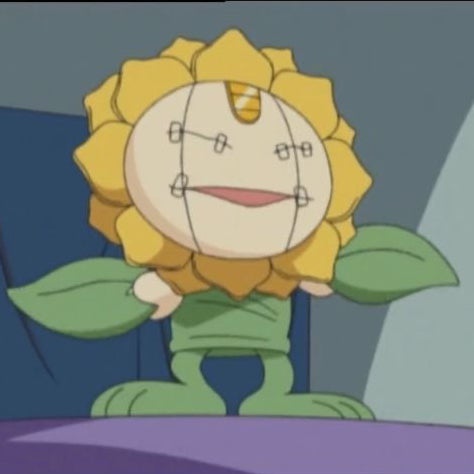 ദ്ദി ˃ ᵕ ˂ ）