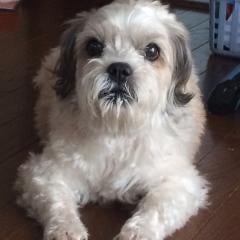 たかっぴのトーク