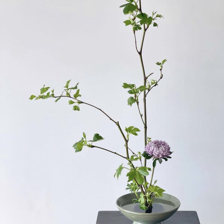 美しい朝 🌈🦋