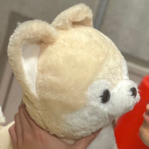 えら