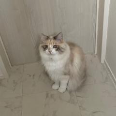 そうちゃん