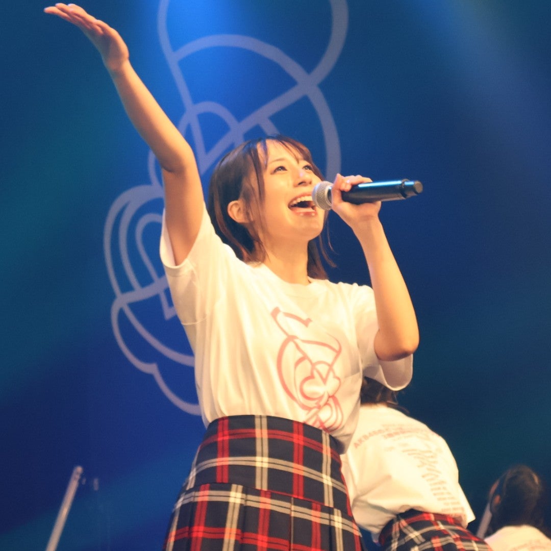 ピッポのトーク