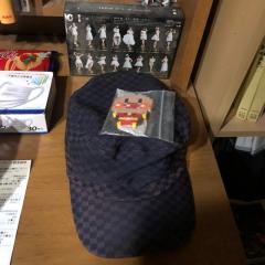 根も葉もRumor〜久しぶりのリップグロス(武道館ライヴ)