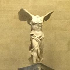 りゅうぐうのつかい