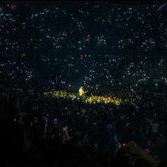 私はファンを愛しています