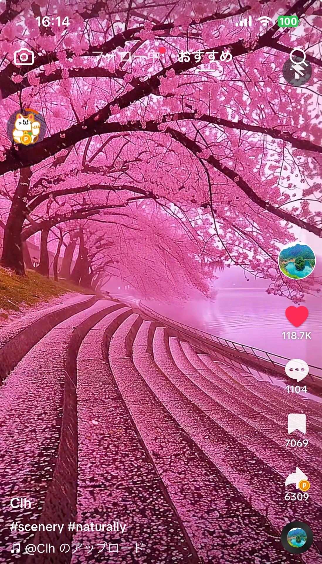 投稿画像
