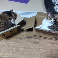 まっつんのトーク