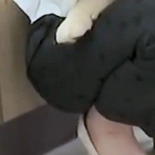 青森のコージ