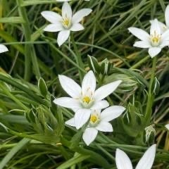 kaiet38（メモ用）