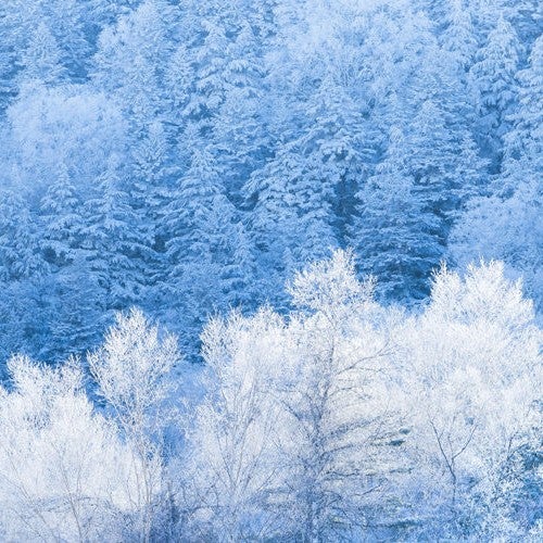 季節の変わり目