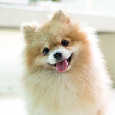 みえ