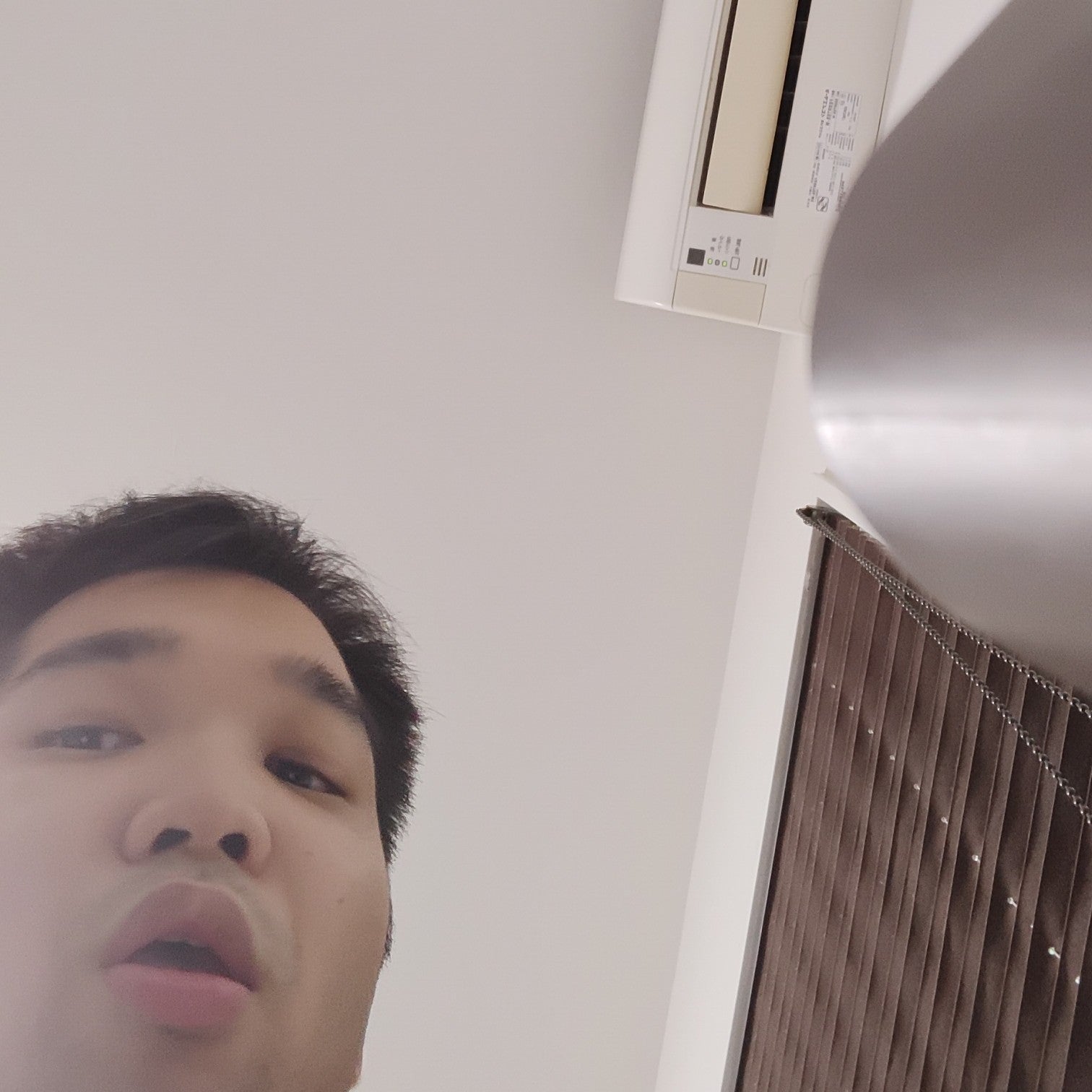 たいせい たいせい