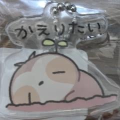 ガチ恋ゆうたのトーク