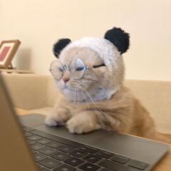 🌜ㅤㅤㅤㅤㅤㅤㅤㅤㅤㅤㅤㅤㅤ0_x🌛