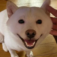 あやかのトーク