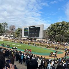 馬に現実を見せつけられる人