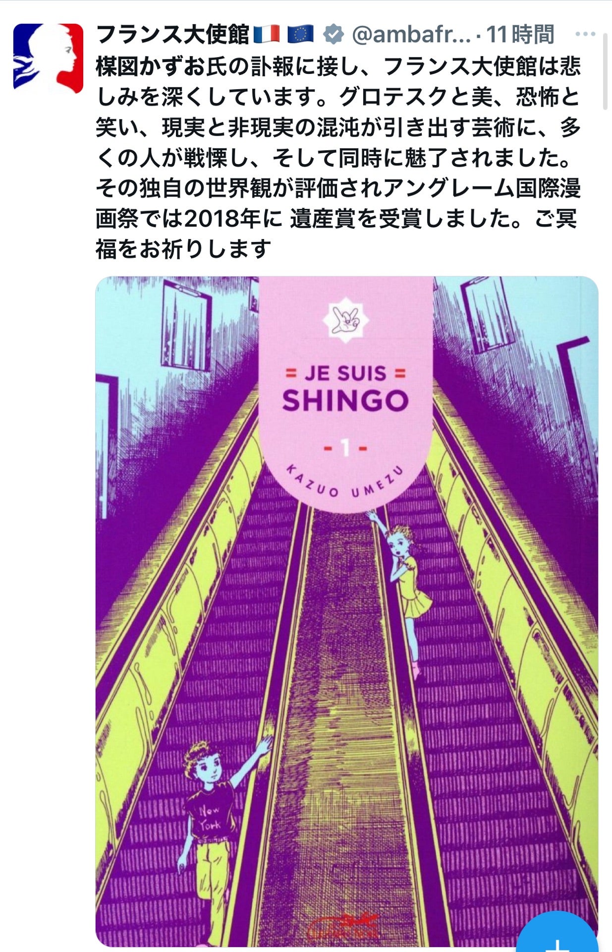 投稿画像
