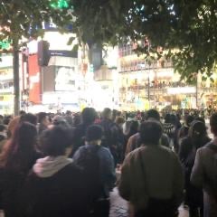 Can get to the truth, and メモ帳