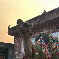 サンマグルグル