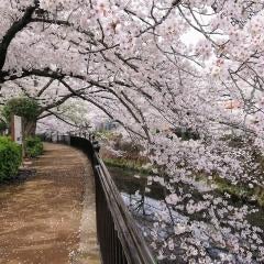 しぶの個人トーク