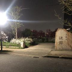 生活雑感から収束点へ②