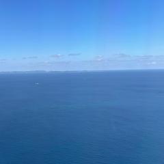 かぴちゃん2025年版