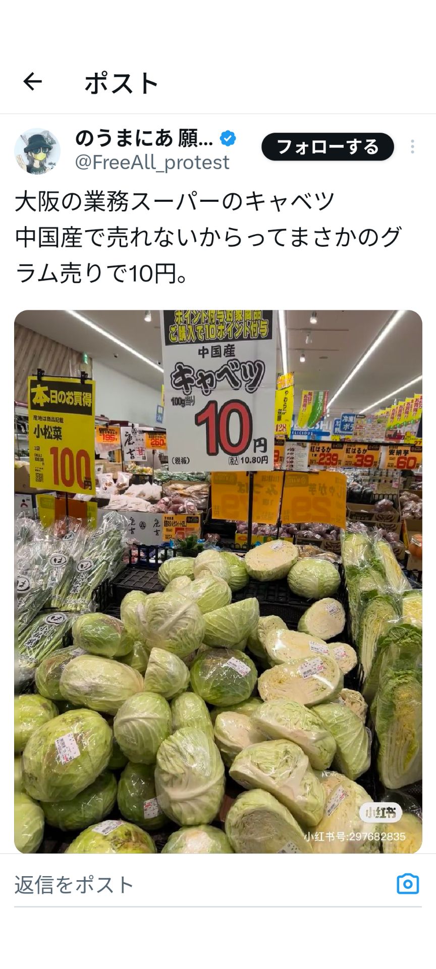 投稿画像